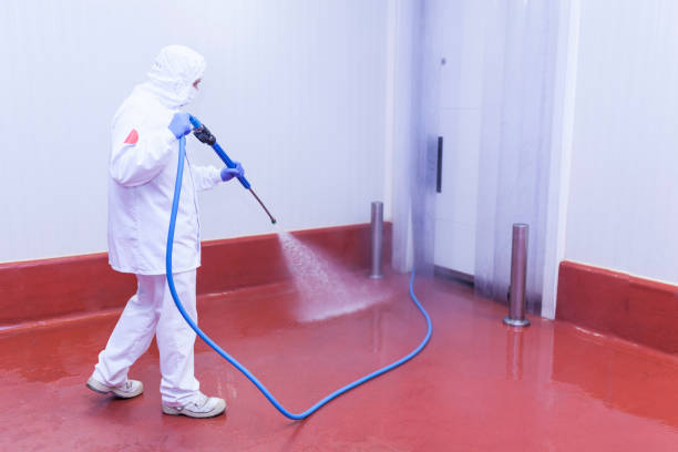 Best Building Exterior Washing  in Rosamond, CA