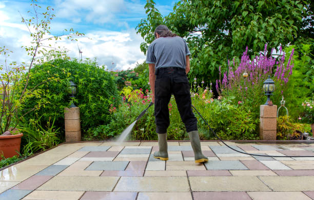 Best Driveway Pressure Washing  in Rosamond, CA